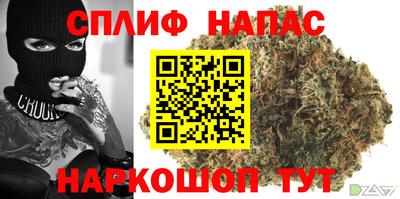 ПСИЛОЦИБИНОВЫЕ ГРИБЫ Аргун
