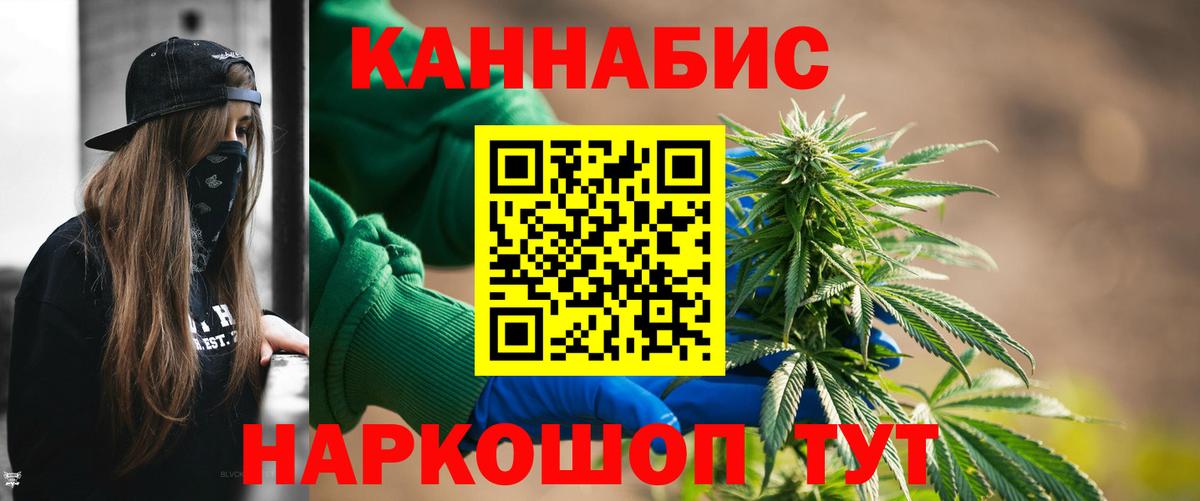 Шишки марихуана план  Бошки Шишки тримм  Вход с VPN  Асино  Канабис семена  Канабис индика 